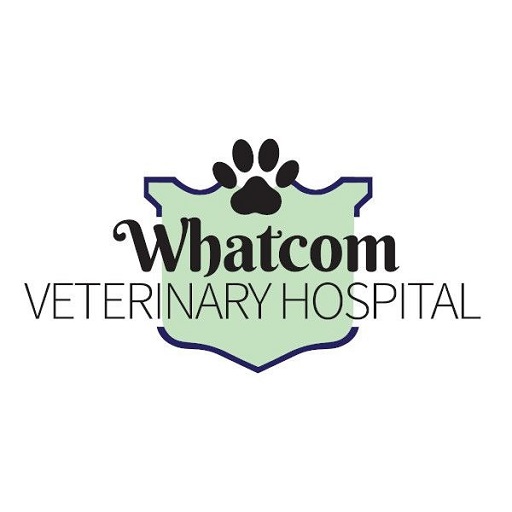 Whatcom Veterinary Hospital
